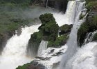 IMG 4306 : Iguazu, Iguazu Argentine