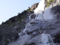 Pyrenees 479 : Fleurs