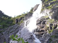 Pyrenees 482 : Fleurs