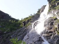 Pyrenees 483 : Fleurs