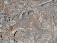 Pyrenees 374 : Pierre rainures