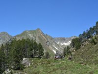 Pyrenees 311