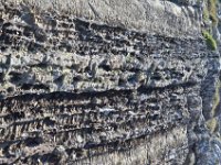 Pyrenees 452 : Pierre rainures