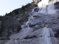 Pyrenees 480 : Fleurs