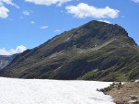 Pyrenees 318