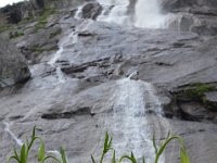 Pyrenees 473 : Fleurs