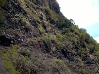 WP 20161115 11 20 15 Pro