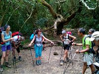 WP 20161115 11 45 11 Pro