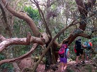 WP 20161115 11 51 22 Pro