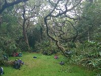 WP 20161115 12 13 04 Pro