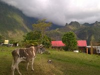 WP 20161115 16 39 10 Pro