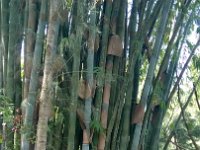 WP 20161116 09 16 04 Pro