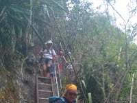 WP 20161116 15 29 12 Pro