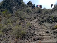 WP 20161118 12 55 57 Pro