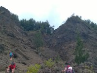 WP 20161118 13 30 59 Pro