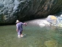 WP 20161120 10 47 40 Pro