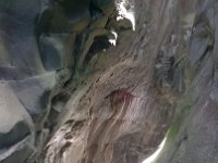 WP 20161120 11 02 19 Pro