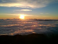 WP 20161122 05 32 12 Pro