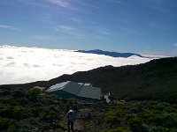 WP 20161122 07 34 02 Pro