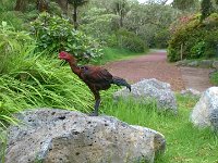 WP 20161122 14 52 05 Pro