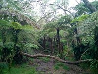 WP 20161123 10 34 41 Pro