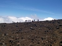 WP 20161124 11 06 07 Pro