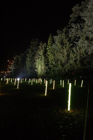 DSC_7679.JPG