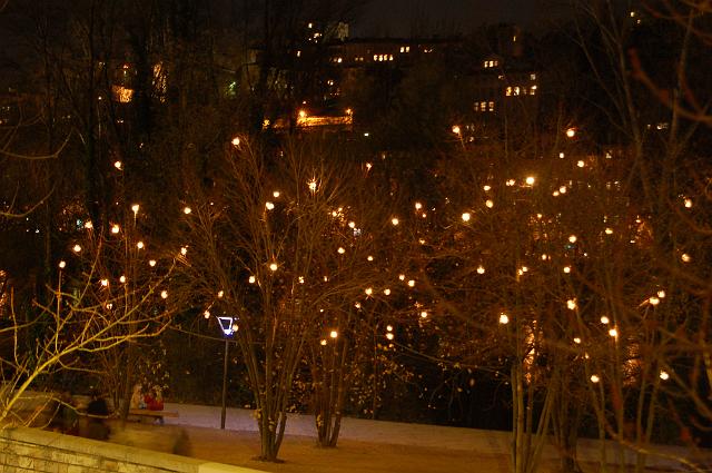 DSC_7692.JPG