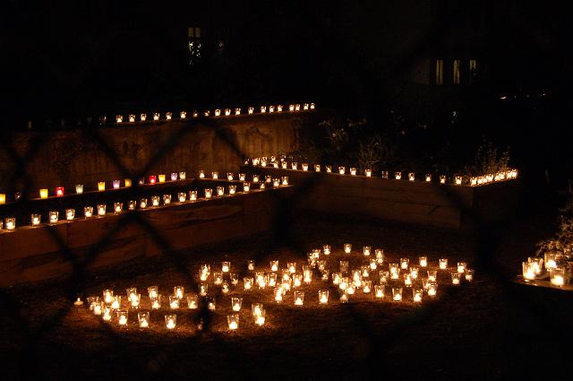 DSC_7898.JPG