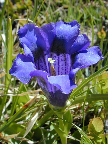 DSCN0046.JPG