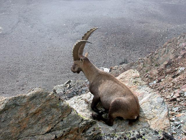DSCN5414.JPG