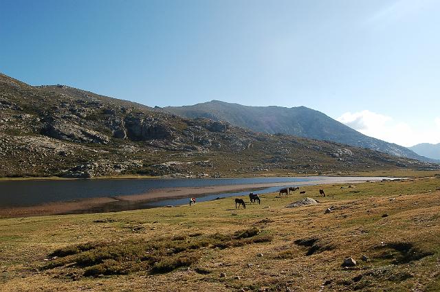 DSC_1134.JPG