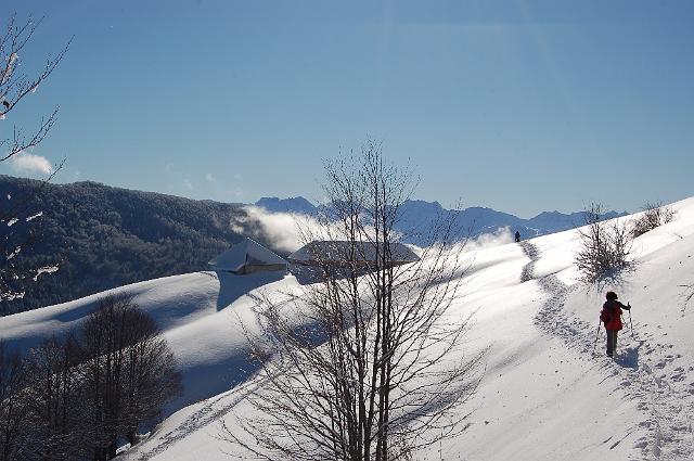 DSC_8072.JPG