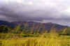 _prairies.jpg (31594 octets)