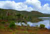 _verdure_mer.jpg (30411 octets)