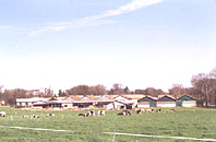 ferme_vuegene.jpg (15421 octets)