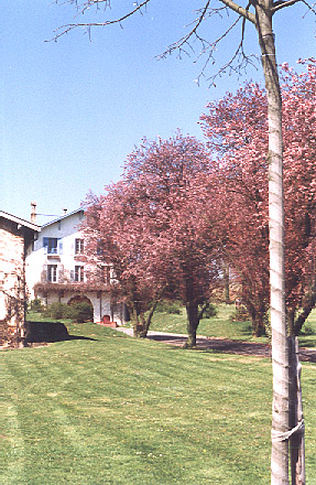 photo_ferme_cellier_l.jpg (89768 octets)