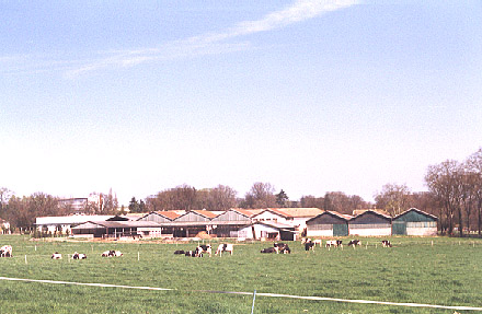 photo_ferme_vue_gene_l.jpg (54769 octets)