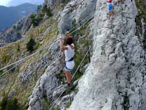Le pont de singe