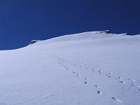 IMG_6303