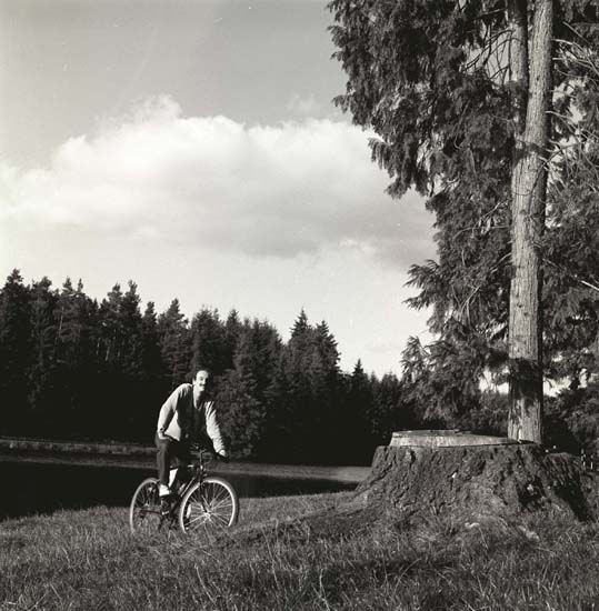 planche_33_11.jpg