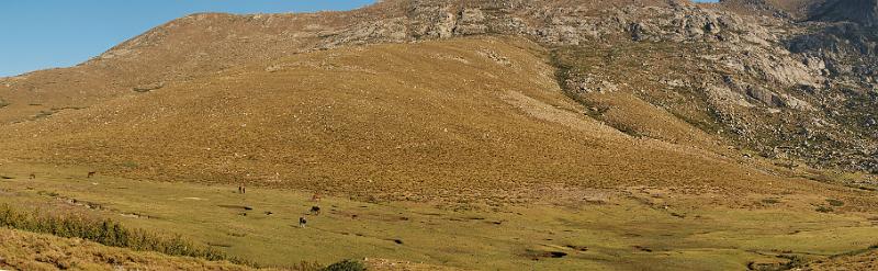 DSC_1081_pano