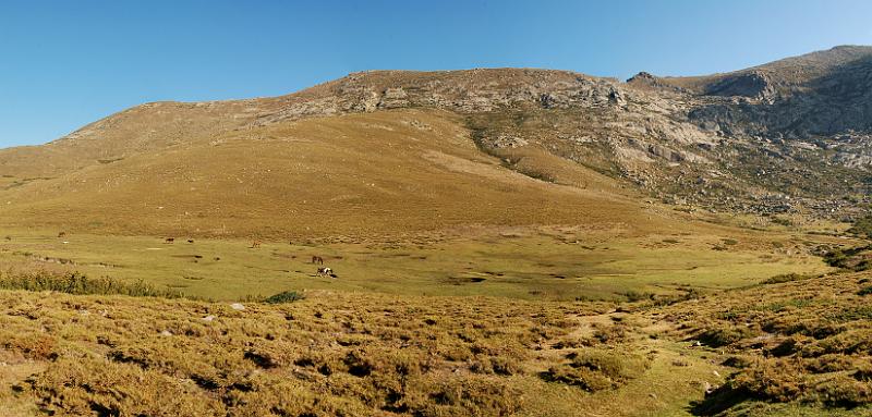 DSC_1094_pano