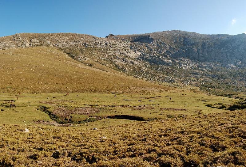 DSC_1102_pano