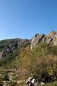 DSC_0756_pano