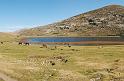 DSC_1130_pano