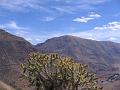 IMG_6484