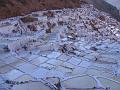 IMG_6490