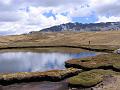 IMG_6568