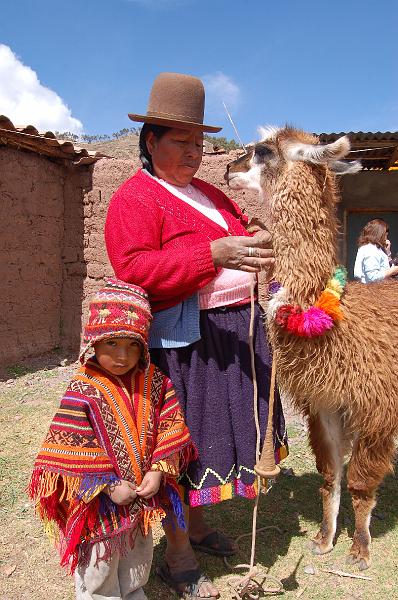 DSC_4962.JPG - Le lamas aussi attend les photographe